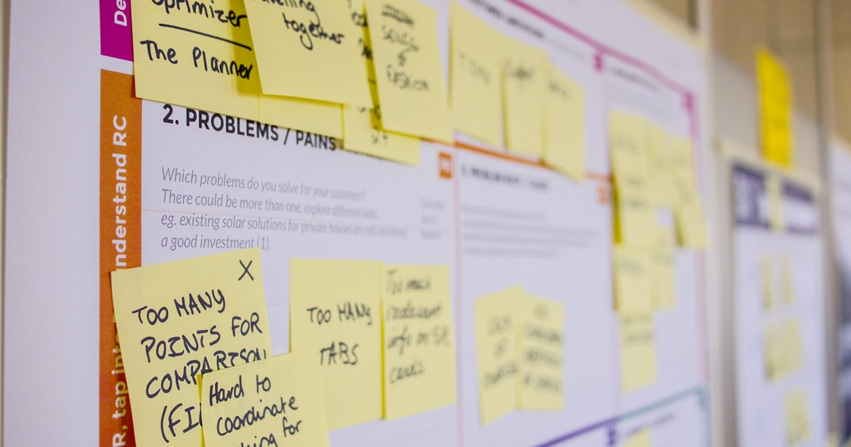 Maximizing Project Success with vPMO